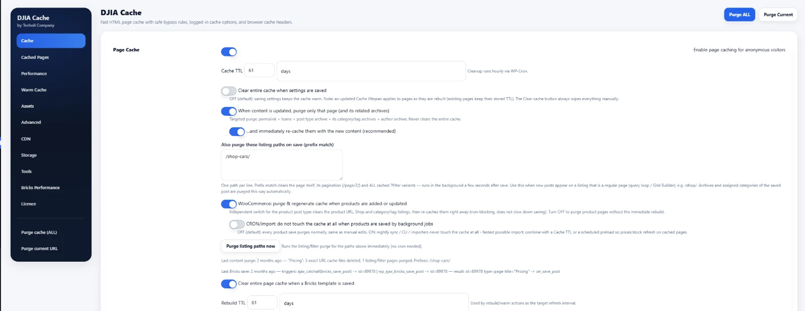 DJIA Cache purge-and-recache rules for the /shop-cars/ path with the activity log below