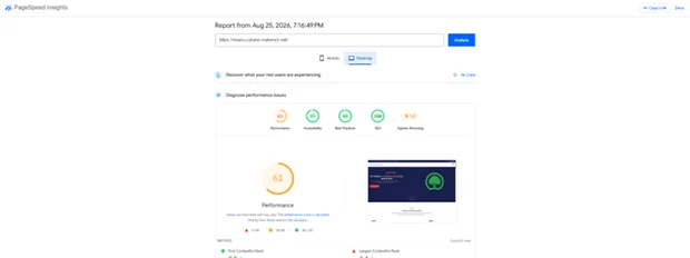 PageSpeed Insights desktop report before optimization with a Performance score of 61
