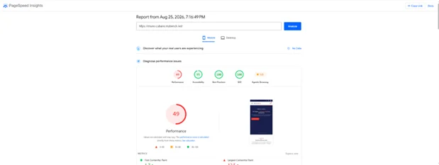 PageSpeed Insights mobile report before optimization with a Performance score of 49