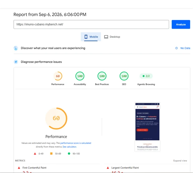 PageSpeed Insights mobile report showing Performance 60 with Accessibility, Best Practices and SEO at 100