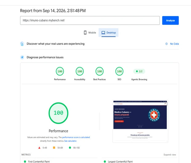 PageSpeed Insights desktop report after WordPress speed optimization: all four scores at 100